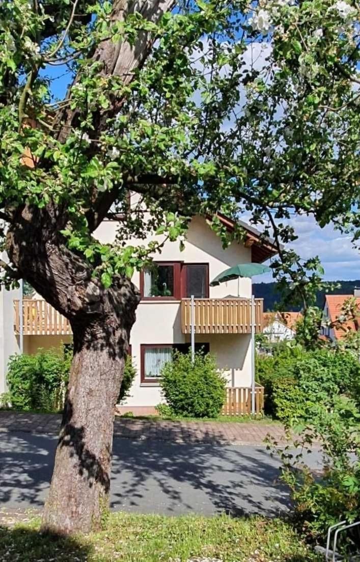 Apartament Kleinod Am Kurpark Bad Zwesten Zewnętrze zdjęcie