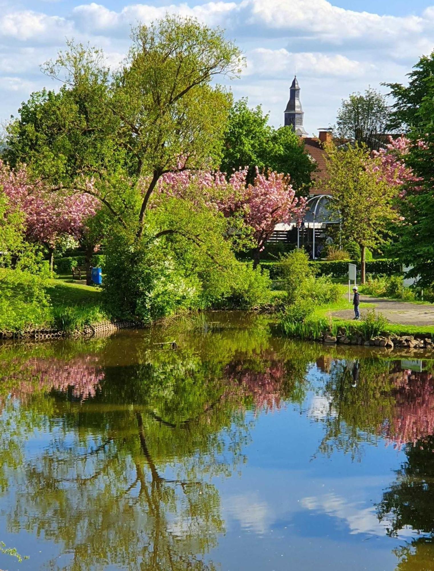 Apartament Kleinod Am Kurpark Bad Zwesten Zewnętrze zdjęcie